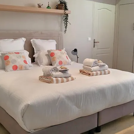 Le Loft By Festif Azur 4 Stars House With Garden, 5 Min Walk From Palais Des Festivals, Beaches And Croisette Cannes