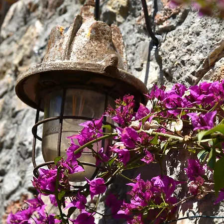Le Loft By Festif Azur 4 Stars House With Garden, 5 Min Walk From Palais Des Festivals, Beaches And Croisette *